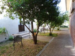 een tafel en stoelen onder een boom naast een gebouw bij Casa del Geco in Paestum