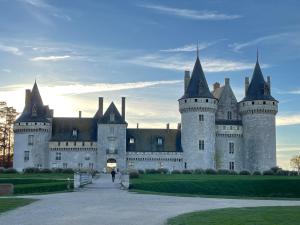 ein Schloss mit einer Person, die davor läuft in der Unterkunft Marie Galante in Sully-sur-Loire