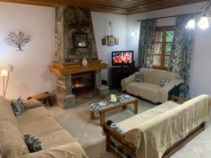 a living room with a fireplace and a tv at Villa Parahora in Prinos