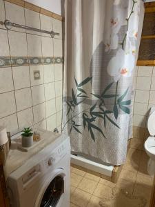 a washing machine in a bathroom with a shower curtain at Villa Parahora in Prinos