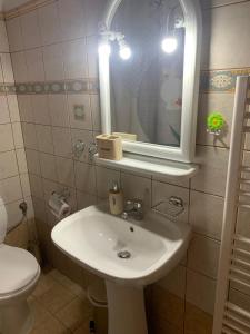 La salle de bains est pourvue d'un lavabo, d'un miroir et de toilettes. dans l'établissement Villa Parahora, à Prinos