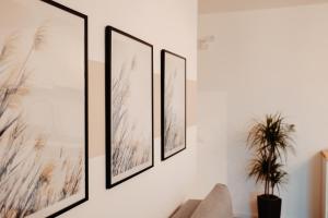 four framed pictures on a wall in a living room at The Perfect Space - NEWStudio - PS4 & Bicycle & Parking in Târgu-Mureş