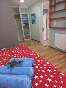a room with a red blanket with stars on it at I Could Live Here - guest house in Sedgefield