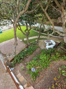 a garden with a bench and some trees at I Could Live Here - guest house in Sedgefield