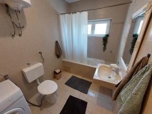 a bathroom with a toilet and a sink and a shower at Villa Blatina in Gradac +31 photos