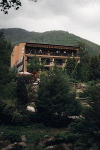 Gallery image of Pensiunea Retezat in Rîu de Mori