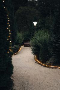 Gallery image of Pensiunea Retezat in Rîu de Mori