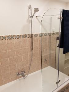 W łazience znajduje się prysznic ze szklanymi drzwiami. w obiekcie Ferienwohnung Schloßberg 1 w mieście Peiting