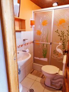 a bathroom with a shower and a toilet and a sink at Hostal Taita Cristobal in Isinliví