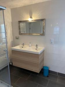 a bathroom with a sink and a mirror at Villa Lahr in Lahr +52 photos