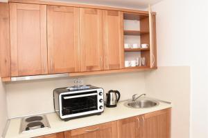 a kitchen counter with a microwave and a sink at Apartmani Stefan in Vrdnik