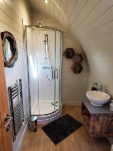 a bathroom with a shower and a sink at Riding Gate Lodge in Charlton Musgrove