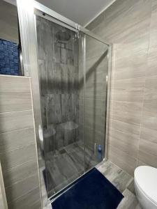 a shower stall in a bathroom with a toilet at Savonarola 45_Casa completa nel centro storico in Latronico