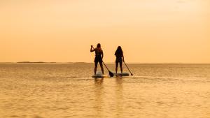 Dos mujeres están de pie en una tabla de paddle en el agua en Brygga på Dønna, 