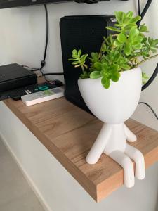 una planta en un jarrón blanco sentado en un escritorio en Moderno estudio en el histórico barrio de San Telmo en Buenos Aires