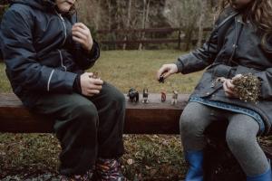 Gallery image of Pensiunea Retezat in Rîu de Mori +37 photos