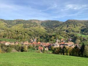 SteigeにあるLogement chaleureux, vallée de Villéの山々の緑の谷の小さな町