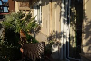 a chair sitting in front of a window with plants at Sofaki Apartments in Thessaloniki