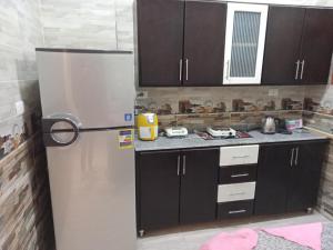 Kuhinja ili čajna kuhinja u objektu Luxor apartment