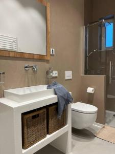 W łazience znajduje się umywalka, toaleta i lustro. w obiekcie Wohlfühl-Apartment am Paradiesberg w mieście Radebeul