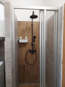 W łazience znajduje się prysznic ze szklanymi drzwiami. w obiekcie Apartmán s vinným sklepem Four Grapes w mieście Jevišovka +13 zdjęć