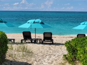 a group of chairs and umbrellas on a beach at Sibonne Beach Hotel in Grace Bay