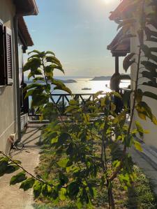a plant next to a building with a view of the water at Panorama Drenia in Ouranoupoli