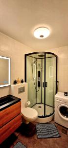 デ・ハーンにあるAppartement in residentie Silverbeach met binnenzwembadのバスルーム(シャワー、トイレ、洗面台付)