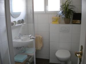 a bathroom with a toilet and a sink at Ferienhaus in ruhiger Lage mit großem Garten in Orsingen-Nenzingen