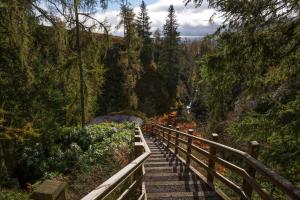 eine Treppe, die einen Hügel mit Bäumen hinunterführt in der Unterkunft Pigeon Cottage - Luxury country steading in Perth + 14 Fotos