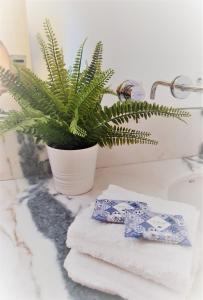 eine Topfpflanze auf einer Badezimmertheke mit Handtüchern in der Unterkunft Lisbon House Misericordia in Lissabon