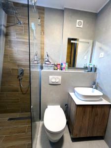 La salle de bains est pourvue de toilettes et d'un lavabo. dans l'établissement Apartman LENA, à Bjelašnica