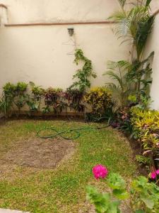 un jardin avec des plantes et des fleurs à côté d'un bâtiment dans l'établissement Alquiler de apartamento en Lince, à Lima