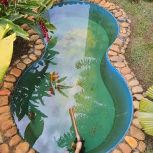 a pond in a garden with a stick in it at Dalas Village in Marau