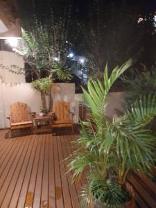 a patio with two chairs and potted plants at Sol poente in Florianópolis