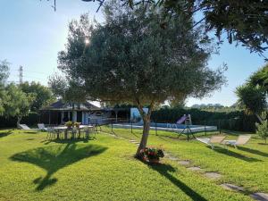 un albero in un cortile con tavolo e sedie di FINCA EL CAMPITO, piscina, bbq, ping-pong, billar, 10 min andando de la playa a Rota