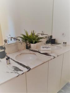 ein Badezimmer mit einem Waschbecken und einer Pflanze darauf in der Unterkunft Lisbon House Misericordia in Lissabon