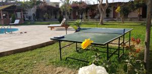 a ping pong table in the grass in a yard at Hospedaje El Cascabel in Sunampe