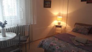 Letto o letti in una camera di Apartman centar Vrbas
