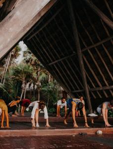 a group of people doing a plank on the beach at Papaya Playa Project in Tulum