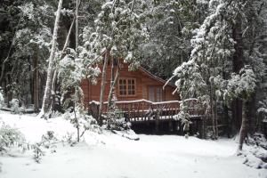 uma cabana de madeira na floresta na neve em Cabaña Rustica Patagonia Chilena em Coñaripe