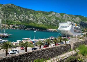 a cruise ship docked in a harbor with mountains at Kotor old town Palace Bucha in Kotor