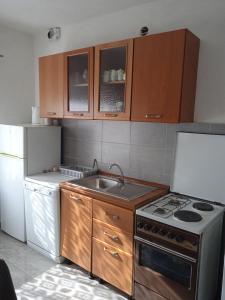 Virtuvė arba virtuvėlė apgyvendinimo įstaigoje Holiday house with a parking space Hrvace, Zagora - 20674