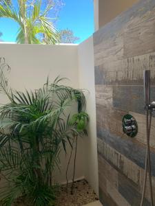 Foto sihtkohas Playa Grande asuva majutusasutuse CASITA COCO galeriist