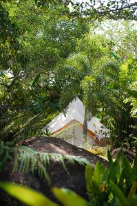 une maison au milieu d'une forêt plantée d'arbres dans l'établissement Roost Glamping - SHA Certified, à Rawai Beach