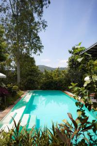 a blue swimming pool in a garden with trees at Roost Glamping - SHA Certified in Rawai Beach