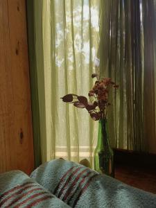 a vase with flowers in front of a window at Valchi Hospedaje de Montaña in El Copey