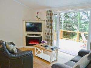 uma sala de estar com um sofá e uma lareira em Ash Lodge em Clatworthy