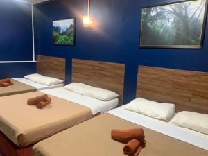 three beds in a room with blue walls at Vintage Guesthouse in Tanah Rata