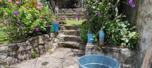 Um jardim em Hostel Mucugê